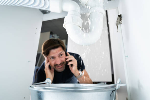 Best Emergency Plumbing Repair  in Papillion, NE