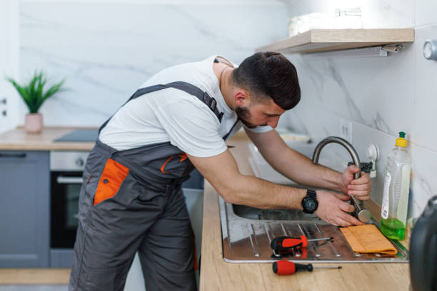 Best Same-Day Plumbing Service  in Papillion, NE