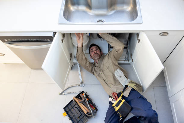 Best Sprinkler Systems  in Papillion, NE