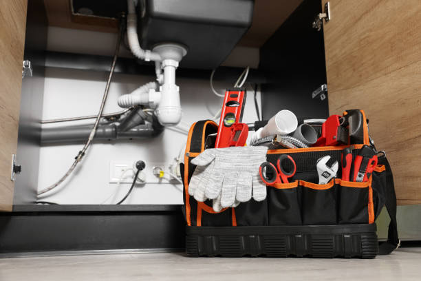 Best Residential Plumbing Services  in Papillion, NE