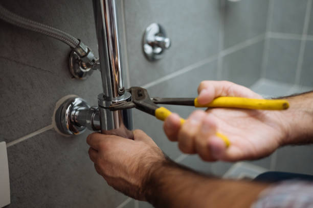 Best Plumbing Repair Near Me  in Papillion, NE