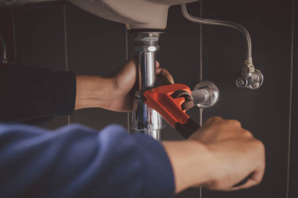 Best Emergency Plumber  in Papillion, NE